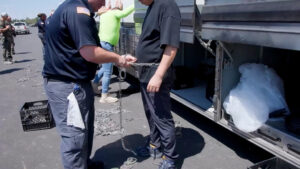 South Korean workers who were detained in a Hyundai factory raid are now headed home. Here’s what else to know